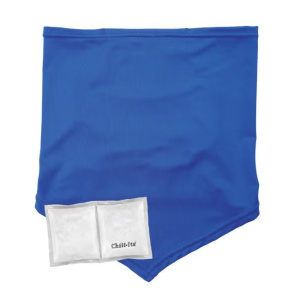 Cooling Neck Gaiter Bandana with Rechargeable Phase Change Packs, Blue, 1/EA #6482