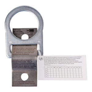 Palmer Safety 2-Hole Anchor Plate with D-Ring, 1 EA, #ANCHORDRING
